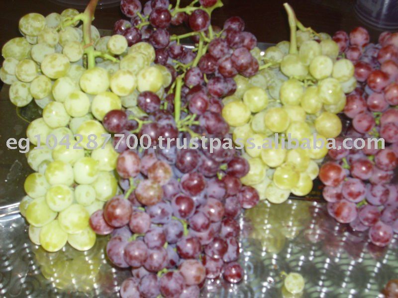 seedless Grapes