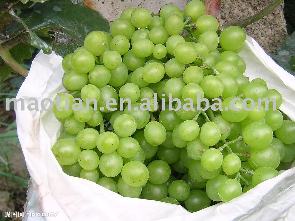 Green Grapes