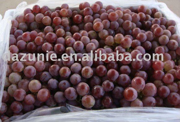 Fresh Grape