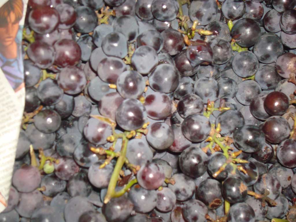 Grapes