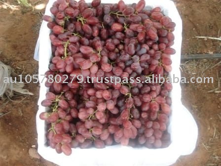 crimson Globe Grapes