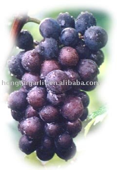 Grape