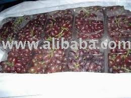 FRESH SEEDLESS TABLE GRAPES
