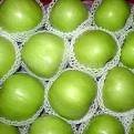 fresh grapes fruits