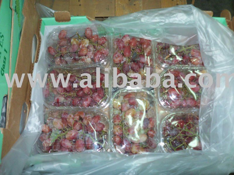 flam seedless grapes