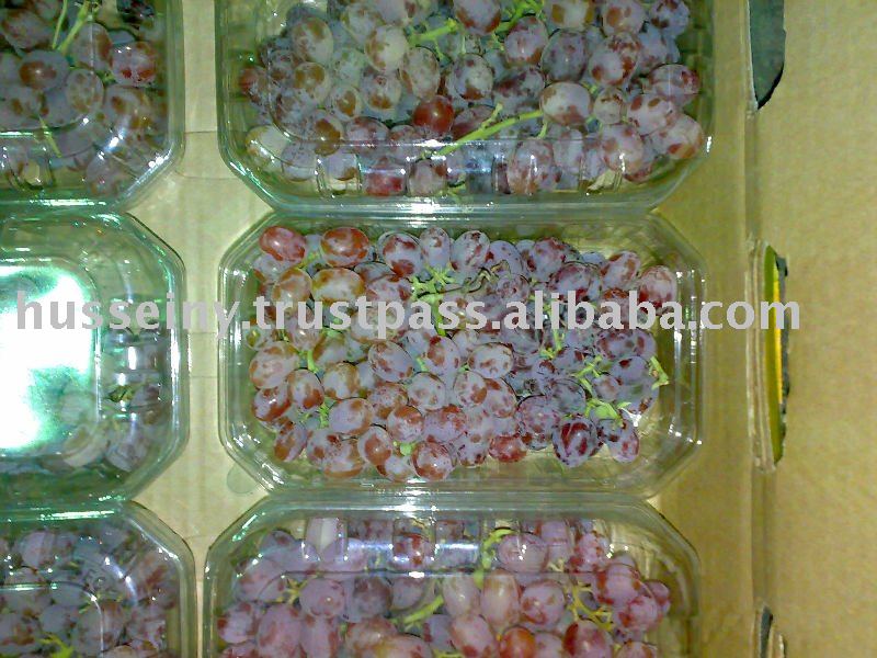 Fresh Grapes