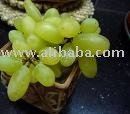 GRAPES FROM INDIA. GRAPE WINE FROM INDIA.