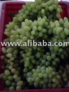 Grapes