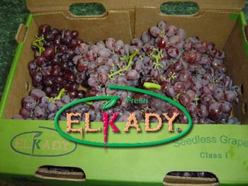 Grapes