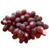 Crimson Seedless  grape