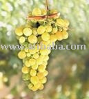 Tables Grapes