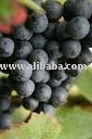 Black grapes