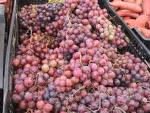 frsh grapes for sale