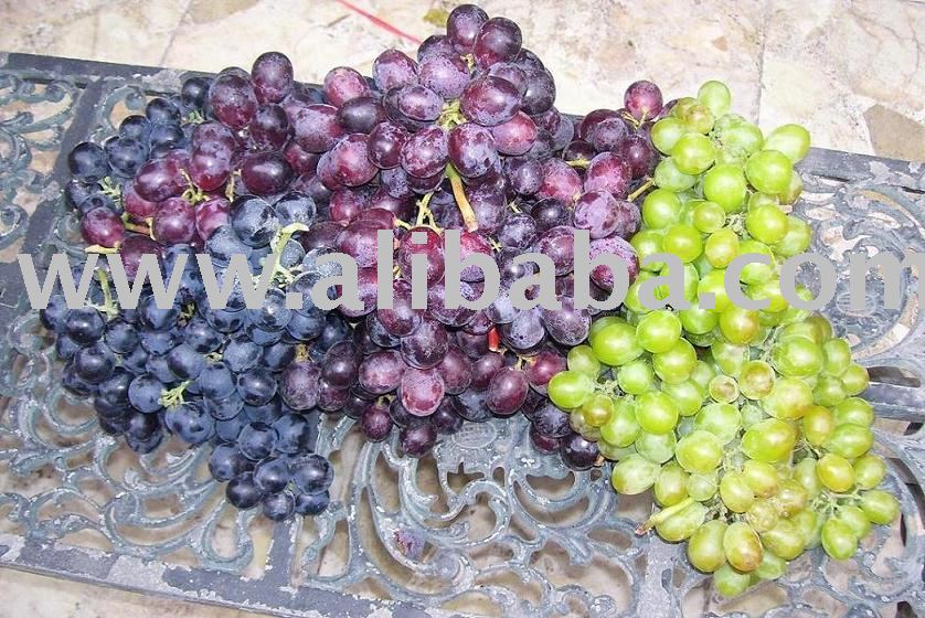 fresh grapes