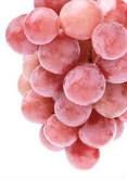 red globe grape