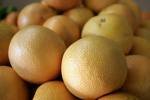 fresh Grapefruit For Sale
