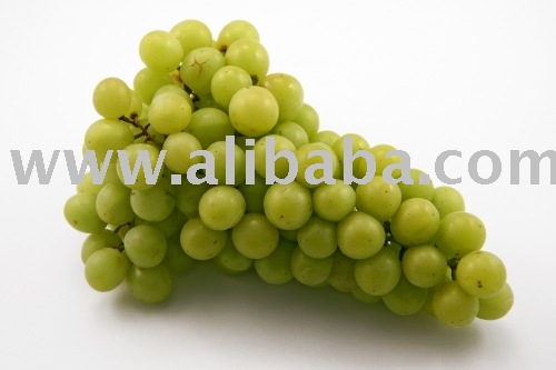 Superior seedless grapes