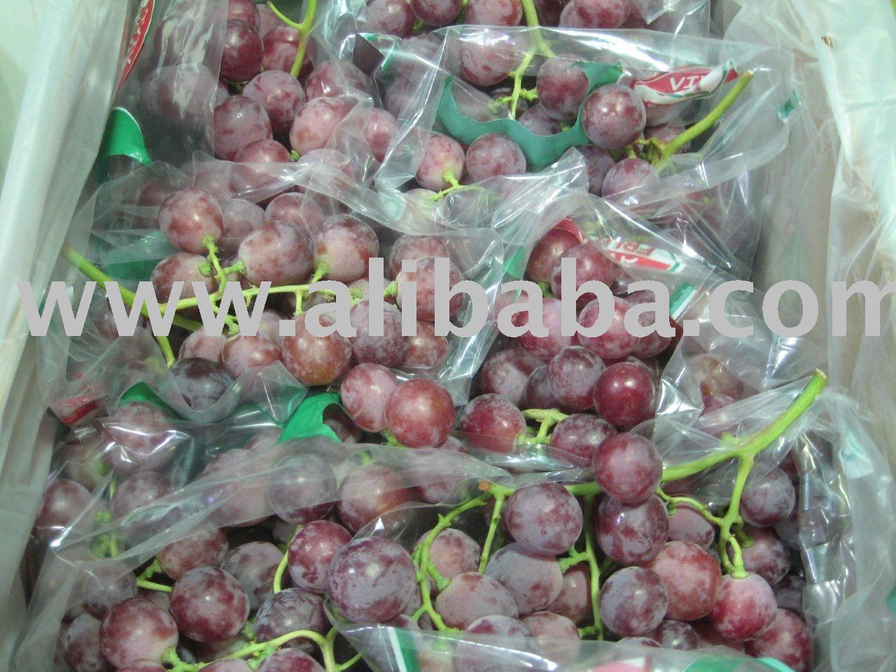 Grapes,  Orange s,  Tangerine , Lemons ,