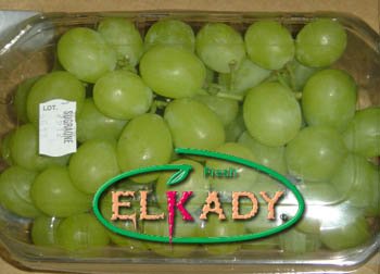 Egyptian Grapes