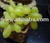 FRESH GRAPES FROM INDIA .