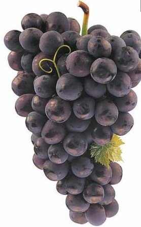  Black   Grapes 