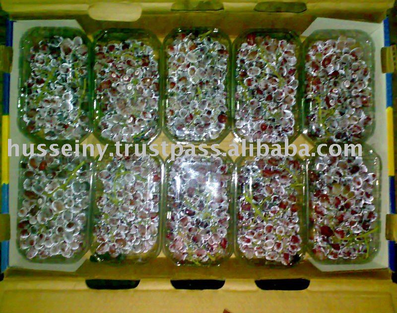 Grapes