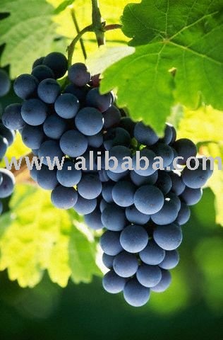 grape fruit