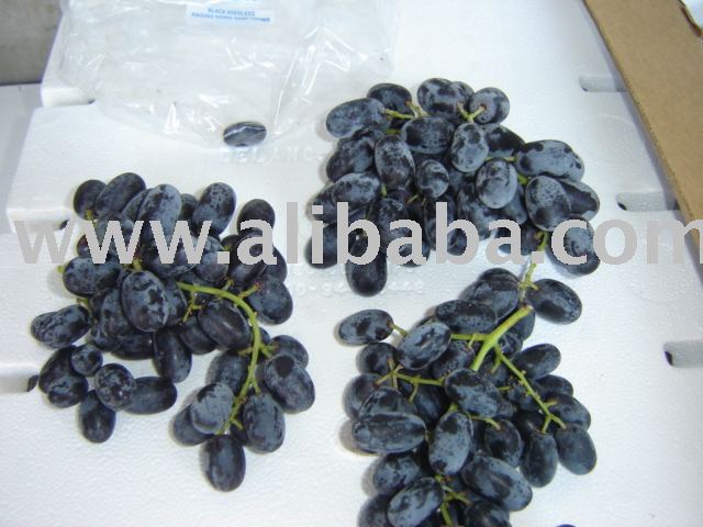 Autumn Royal Seedless Grapes