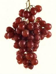 Fresh Grapes