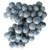 La Rochelle grape