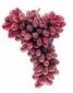 Crimson GRAPES