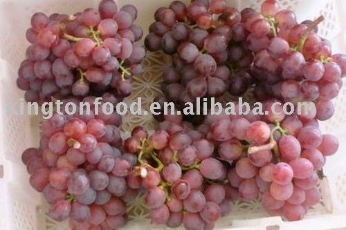 china good price red globe grape