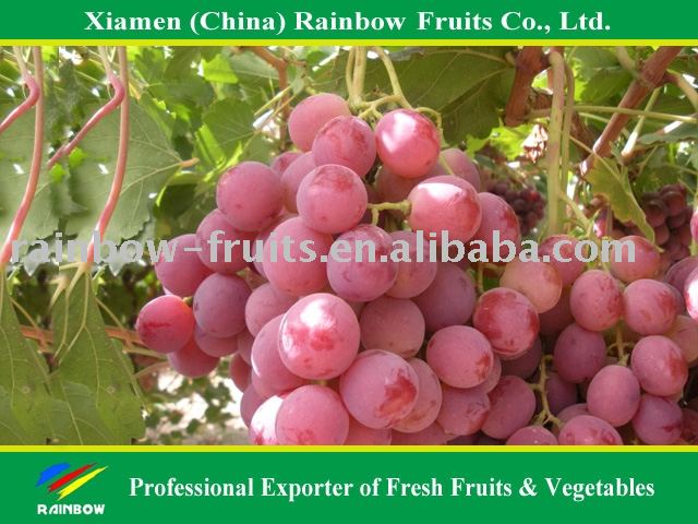 Table Grape