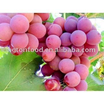 2011 china good  price   red  globe  grape 