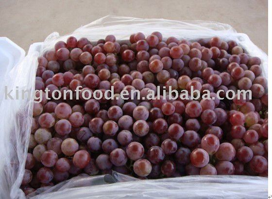 red globe grape with good price