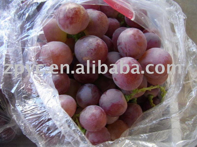 Red globe grape,China ZPYC price supplier - 21food