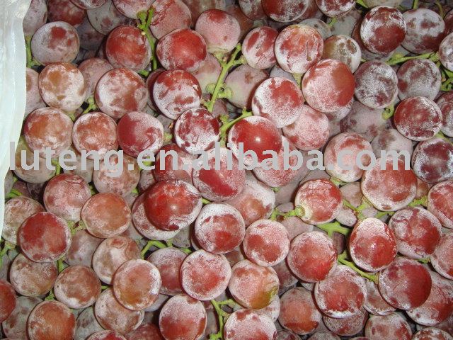 Sweet Grape