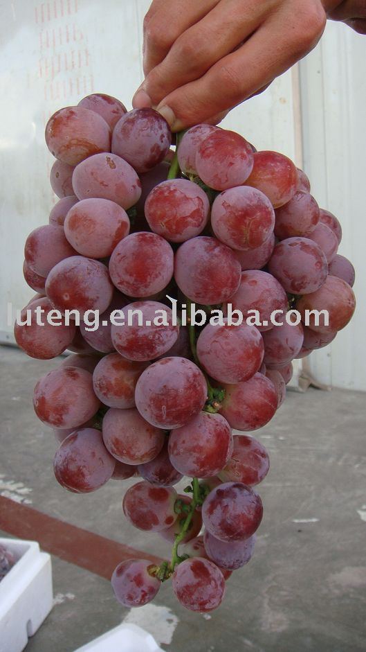 Fresh Grape