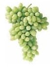 Thompso Seedless Grapes