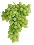 Thompson GRAPES