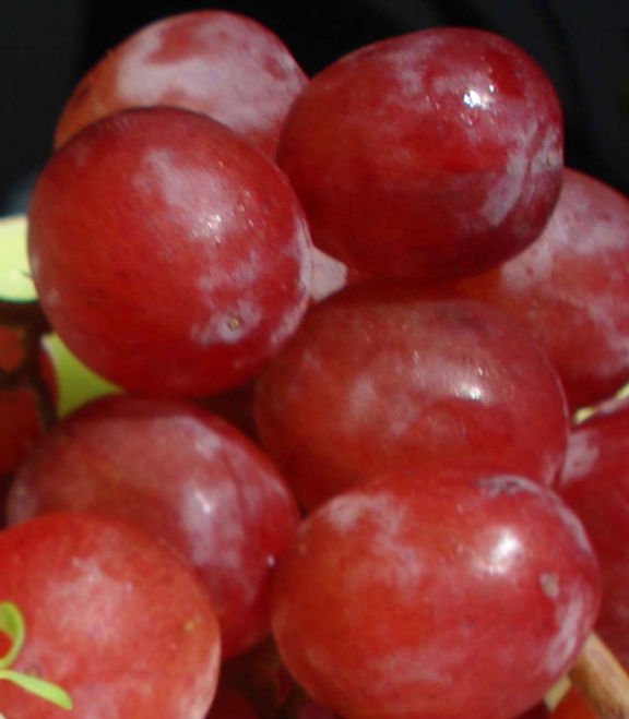 Fresh Table Grapes