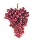 Flame   Grapes 