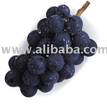Grapes from Indian Grapes Incorporation