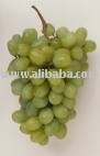 Grapes: Thompson (From Eurogap Certified Gardens)