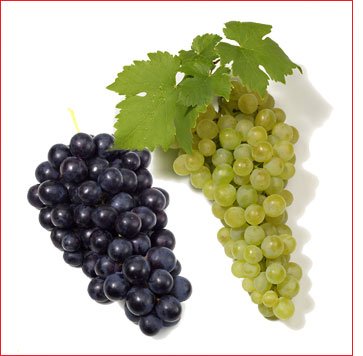 Freesh Seedless Thomson and Redflame Grapes