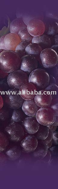Crimson Seedless Grapes