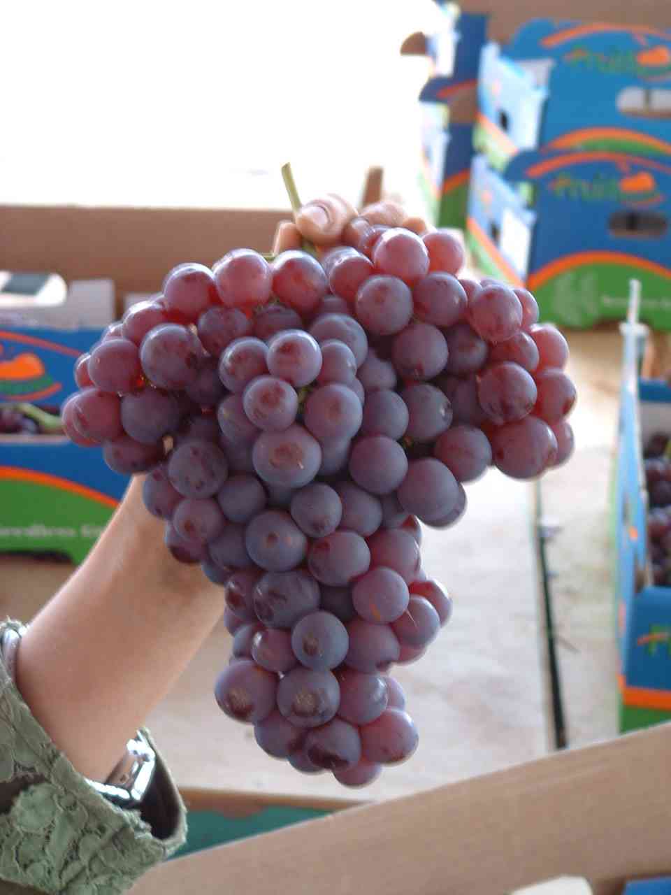 Red Grape