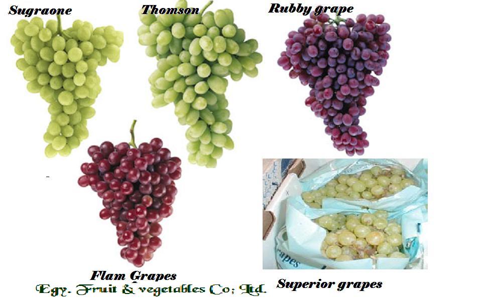 Grapes
