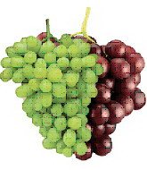  SUPERIOR    GRAPE S