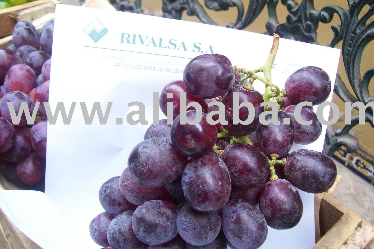 Red Globe  Grapes 